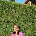 Plausch_2012_web_0010