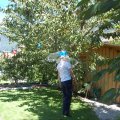 Plausch_2012_web_0057