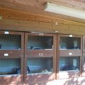 Plausch_2013_web_0002