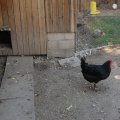 Plausch_2013_web_0049