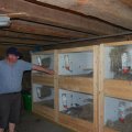 stallschau_2016_web_0005