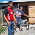 stallschau_2016_web_0026