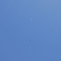 stallschau_2016_web_0028