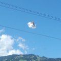 stallschau_2016_web_0030