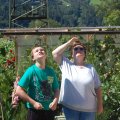 stallschau_2016_web_0031