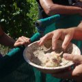 stallschau_2016_web_0034