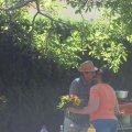 stallschau_2016_web_0043