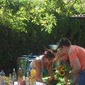 stallschau_2016_web_0044