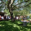 stallschau_2016_web_0049