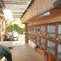stallschau_2016_web_0051