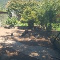stallschau_2016_web_0052