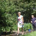 stallschau_2016_web_0057