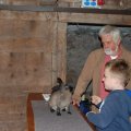 stall_2017_web_0017