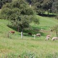 stall_2017_web_0018