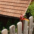 stall_2017_web_0049