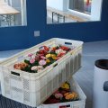 Kant_DV_2010_web_0009