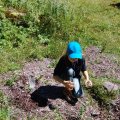 Wanderung_2011_web_0023
