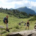 wander_2013_web_0018