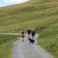wander_2013_web_0040