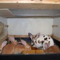 Besuch_Ebnat_2012_web_0040