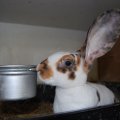 Besuch_Ebnat_2012_web_0045